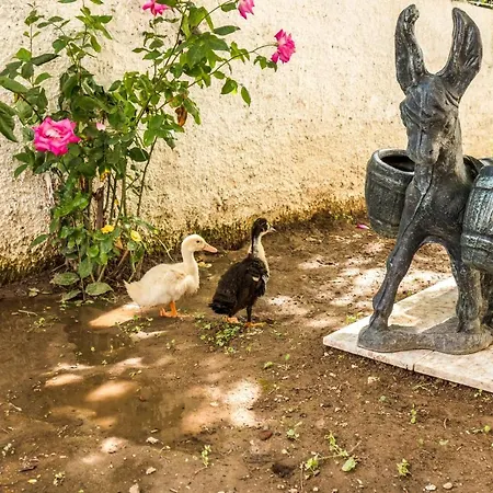 Aurora Appart hôtel