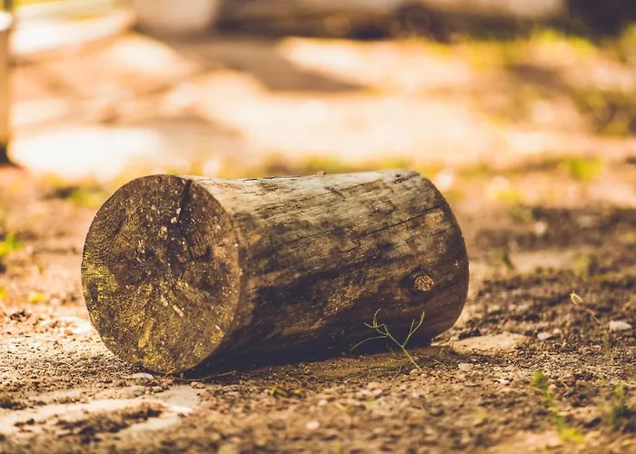 Aurora Aparthotel 3*